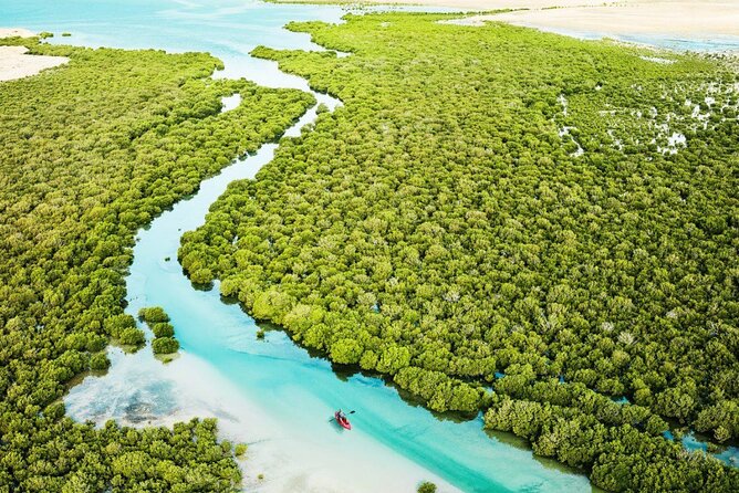 Private North of Qatar Tour - Stop 3: Purple Island Mangroves Forest and Quiet Trail Time