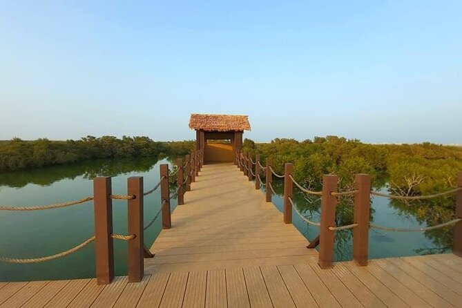 Private Tour in Northern Qatar - A Half-Day Route Through Northern Qatar, Starting in Doha
