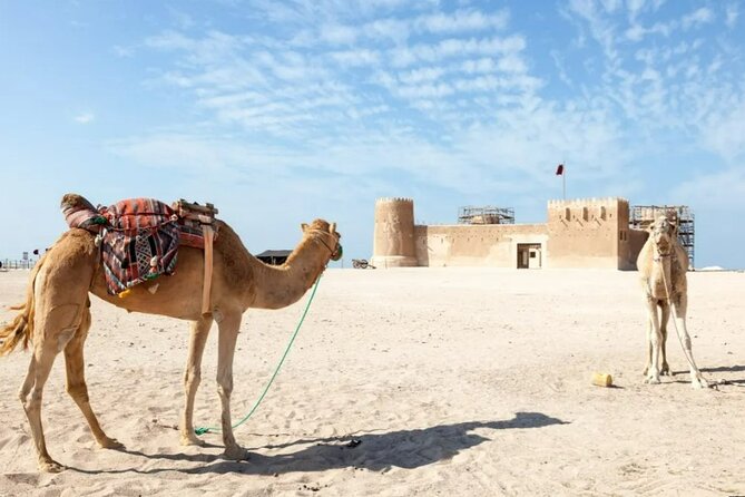 Private Tour in Northern Qatar - The Role of Your Guide, and Why Zohaib Gets Mentioned