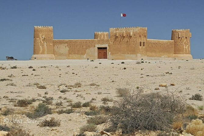 Private Tour in Northern Qatar - Al Khor: Coastal Calm and a Real Sense of Place