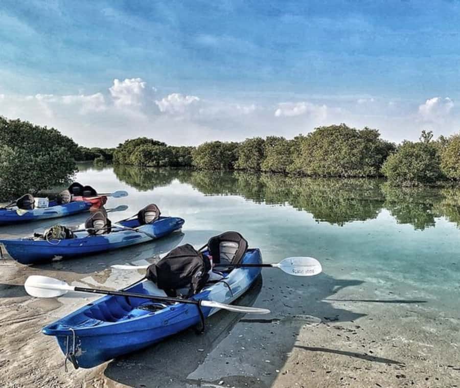 Qatar: Al Thakira Mangrove Forest Kayaking Tour - Key highlights worth planning around