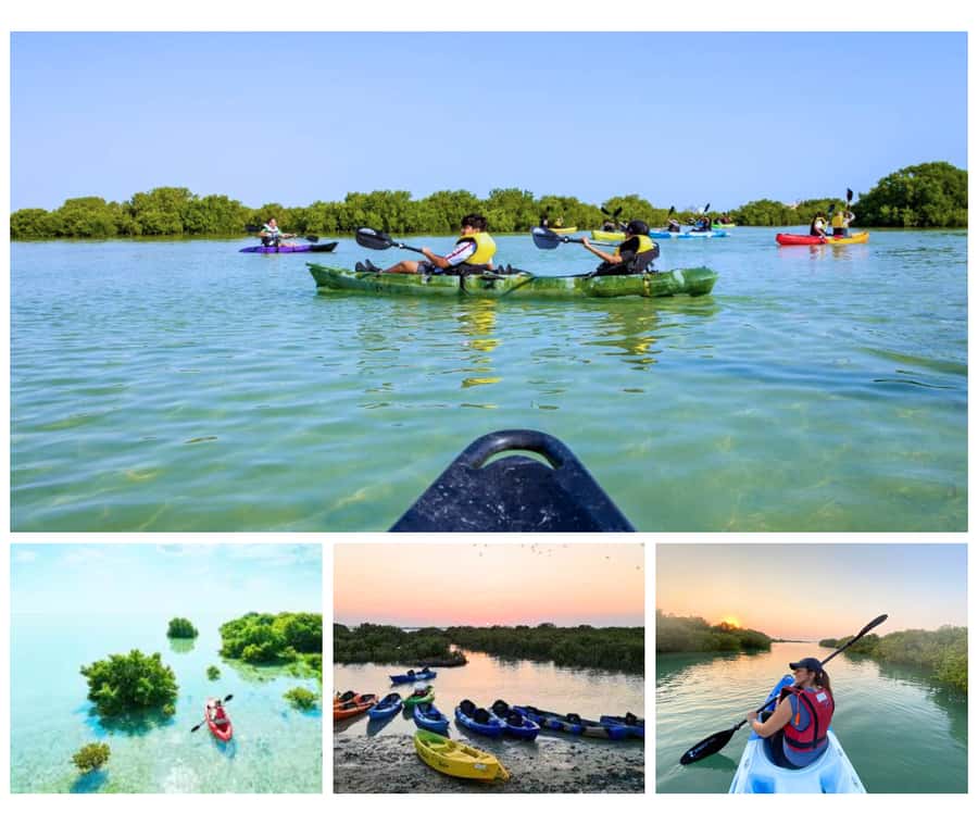 Qatar: Al Thakira Mangrove Forest Kayaking Tour - Why Al Thakira mangroves make kayaking feel different in Qatar