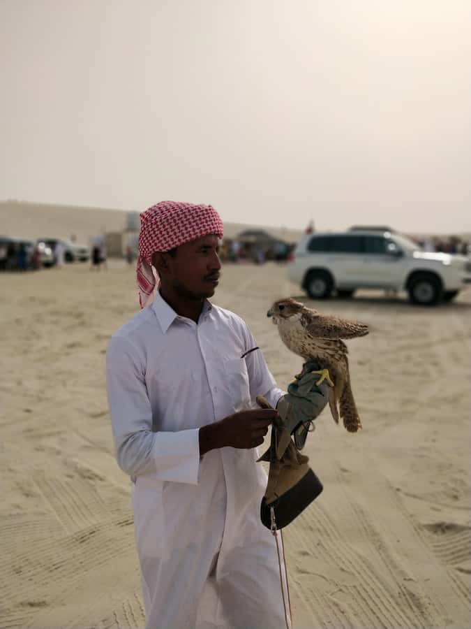 Qatar: Desert Safari, Camel Ride, Inland sea, Sandboarding - Sandboarding in Qatar dunes: try it even if you have never done it