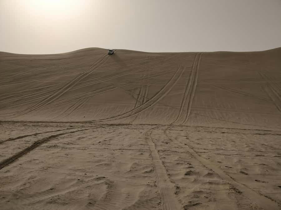 Qatar: Desert Safari, Camel Ride, Inland sea, Sandboarding - Comfort, timing, and practical logistics that make or break the day