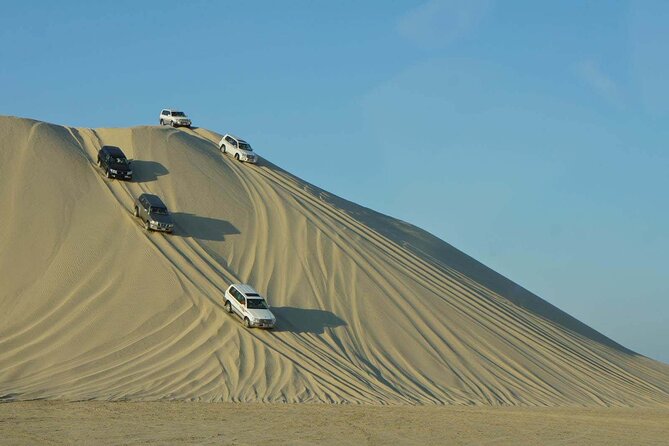 Qatar Desert Safari, Dune Bashing (Private Safari Tour) - Key moments that make this private safari worth your time