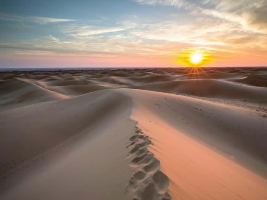 Qatar Desert Safari, Quad bike, Camel Ride and Sandboarding - Mesaieed Tea Stop: Camel Ride and a Reset Before the Sand Speed