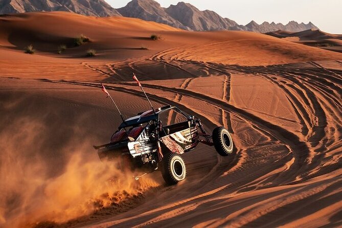 Qatar Desert Thrills Self Ride Dune Buggy Safari and Camel Ride - Doha Desert Thrills: Private Self-Ride Buggy and Camel Ride