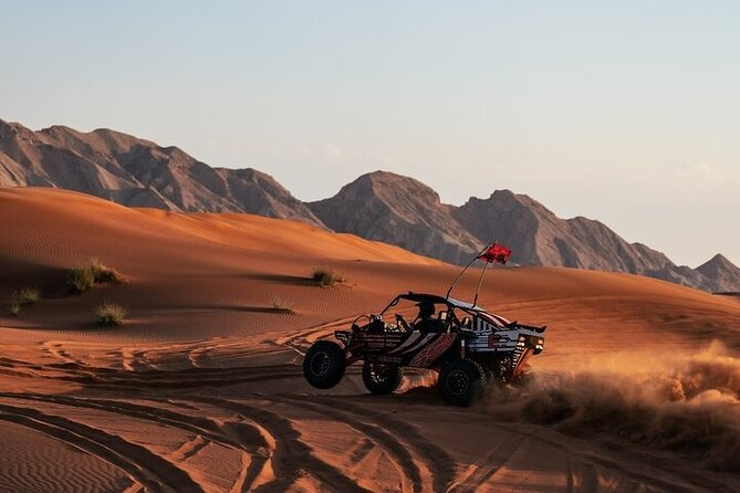 Qatar Desert Thrills Self Ride Dune Buggy Safari and Camel Ride - What You Get for $199: Value Breakdown