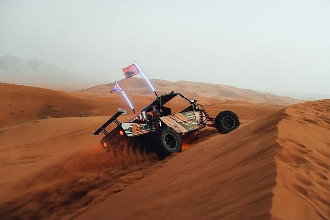 Qatar Desert Thrills Self Ride Dune Buggy Safari and Camel Ride - Who This Tour Suits (and Who Should Reconsider)
