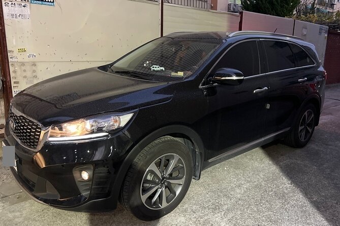 Qatar Doha Hamad Airport (DOH) to Doha - Arrival Private Transfer - If You Have Waiting Time, Use Hamad Airport Like a Pro