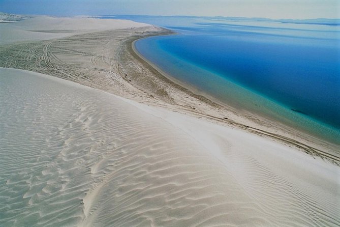 Qatar Gold Dune Safari, Dune Bashing,Camel Ride,Sand Boarding,Inland Sea Desert - Camel ride and tea break: short, but actually worth it