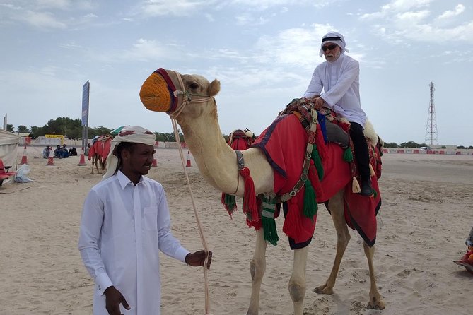 Qatar Gold Dune Safari, Dune Bashing,Camel Ride,Sand Boarding,Inland Sea Desert - The Inland Sea stop at Khor al Udaid: the view that changes the day
