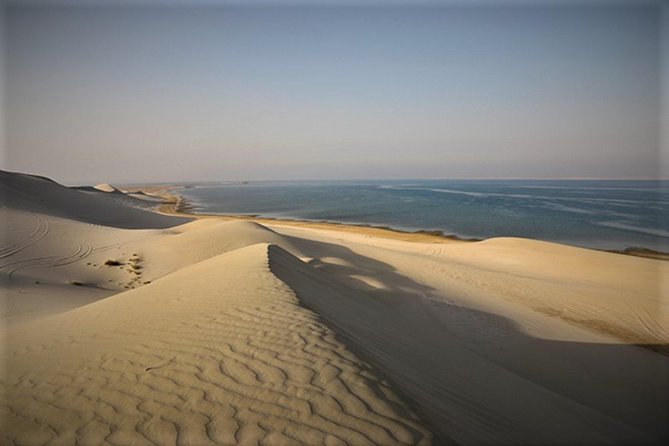 Qatar Gold Dune Safari, Dune Bashing,Camel Ride,Sand Boarding,Inland Sea Desert - Price and value: what you actually get for $44.59