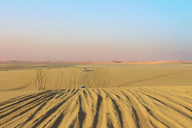 Qatar Gold Dune Safari, Dune Bashing,Camel Ride,Sand Boarding,Inland Sea Desert - Who should book this safari, and who might skip it