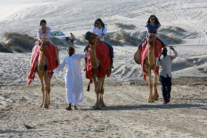 Qatar Half Day Desert Safari(Camel Rides & Sandboarding) - Who should book, and who should skip or adjust plans