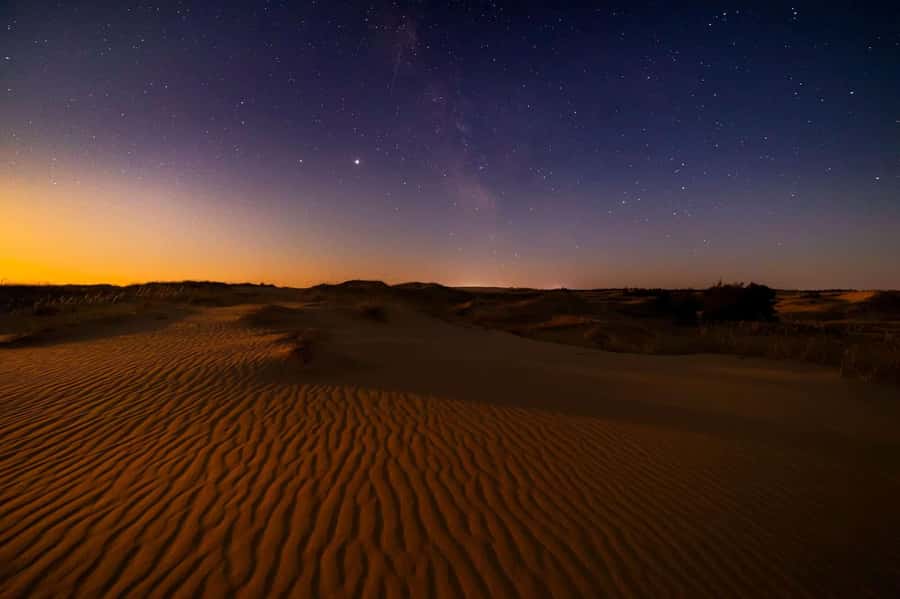 Qatar: Night Desert Safari| Camel Ride| Inland Sea Beach - Quick take: what makes this tour worth your time