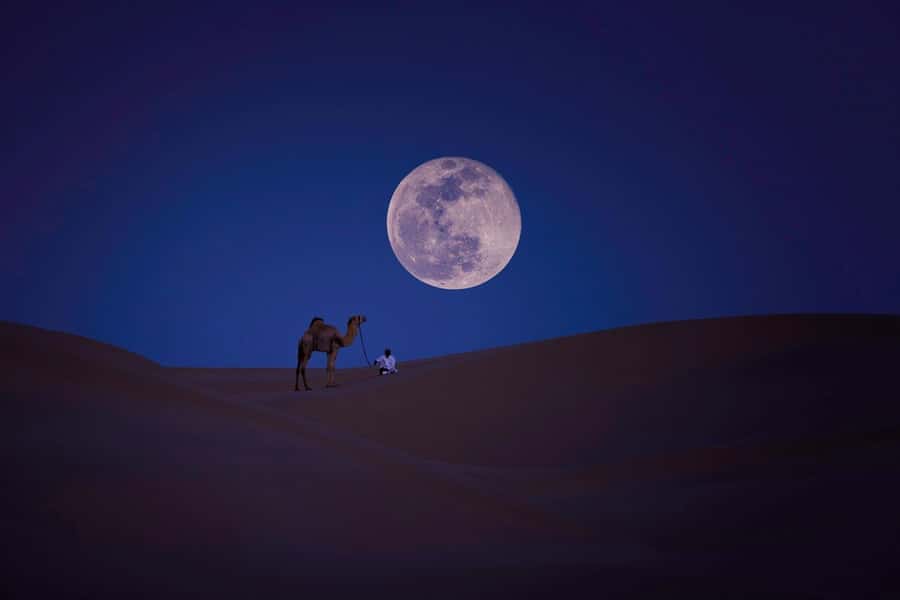 Qatar: Night Desert Safari| Camel Ride| Inland Sea Beach - How This 4-Hour Private Night Safari Runs From Doha