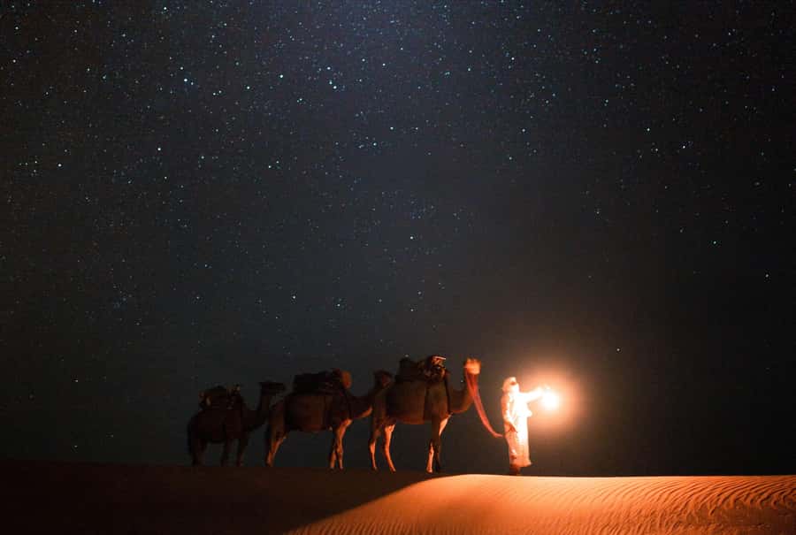 Qatar: Night Desert Safari| Camel Ride| Inland Sea Beach - Inland Sea Beach for Sandboarding, Walking, and Off-Road Views