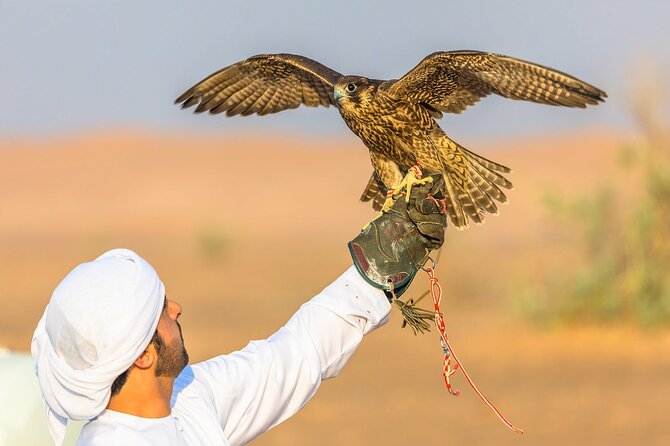 Qatar: Sunrise or Sunset Desert Tour in Doha, unforgettable trip - Inland Sea dune driving: a real Land Cruiser session with climbs and descents