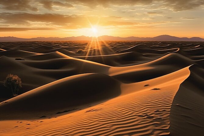 Qatar: Sunrise or Sunset Desert Tour in Doha, unforgettable trip - Who this tour suits best in Doha