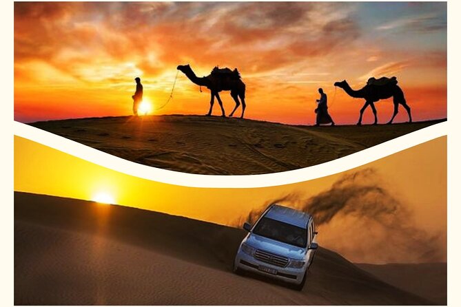 Qatar Sunset Desert Safari: Dune Bashing & Golden Sands Adventure - Key things to know before you go