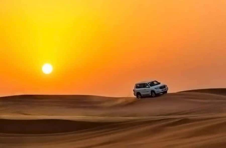 Qatar: Sunset Desert Safari with Camel Ride & Sandboarding - Camel ride at Sealine: calmer pace, bigger meaning
