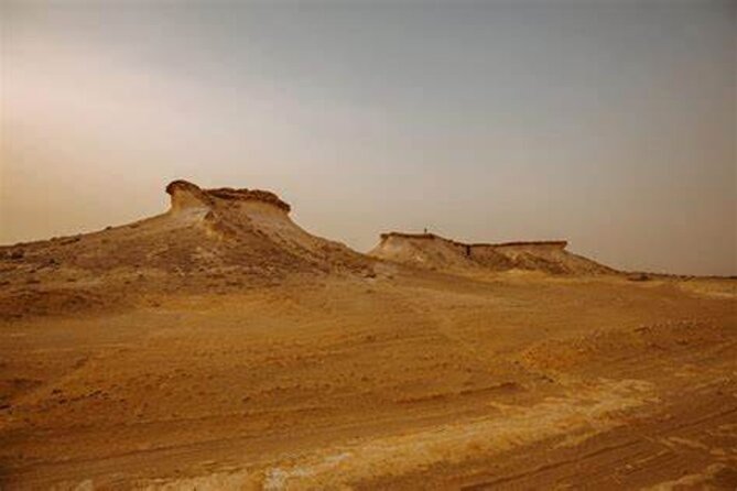 Qatar West Coast Zkreet Richard Sierra Camel Track Rock Formation - Key highlights worth your time