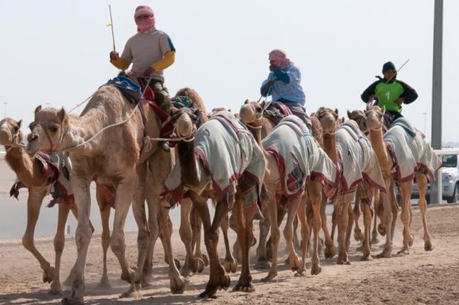 Qatar West Coast Zkreet Richard Sierra Camel Track Rock Formation - Al Shahaniya camel racetrack stop: modern setting for a traditional sport