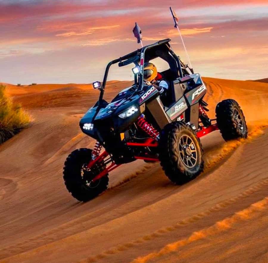 Quad Bike/Buggy, Desert Safari, Camel Ride, Dune Bashing - The Photo Stops That Turn a Ride Into a Memory