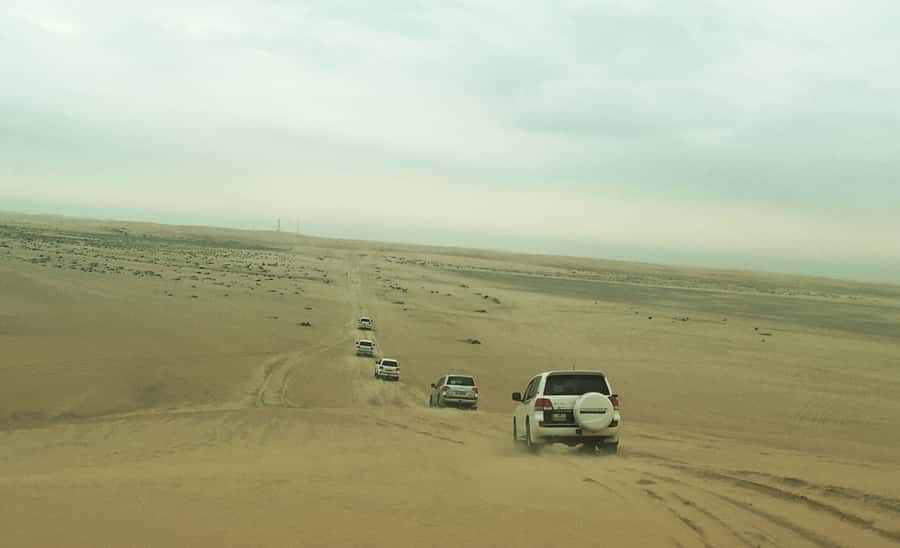 Relax Desert Safari, Sand Dune Bashing (Private Safari) - Key Points at a Glance