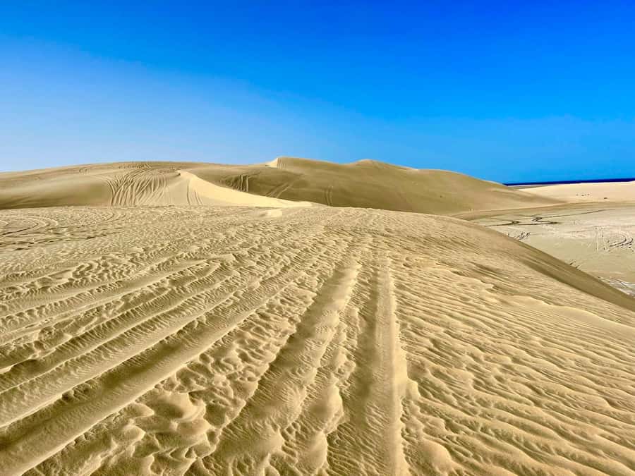 Relax Desert Safari, Sand Dune Bashing (Private Safari) - Inland Sea Hour: Sandboarding, Views, and Actual Swim Time