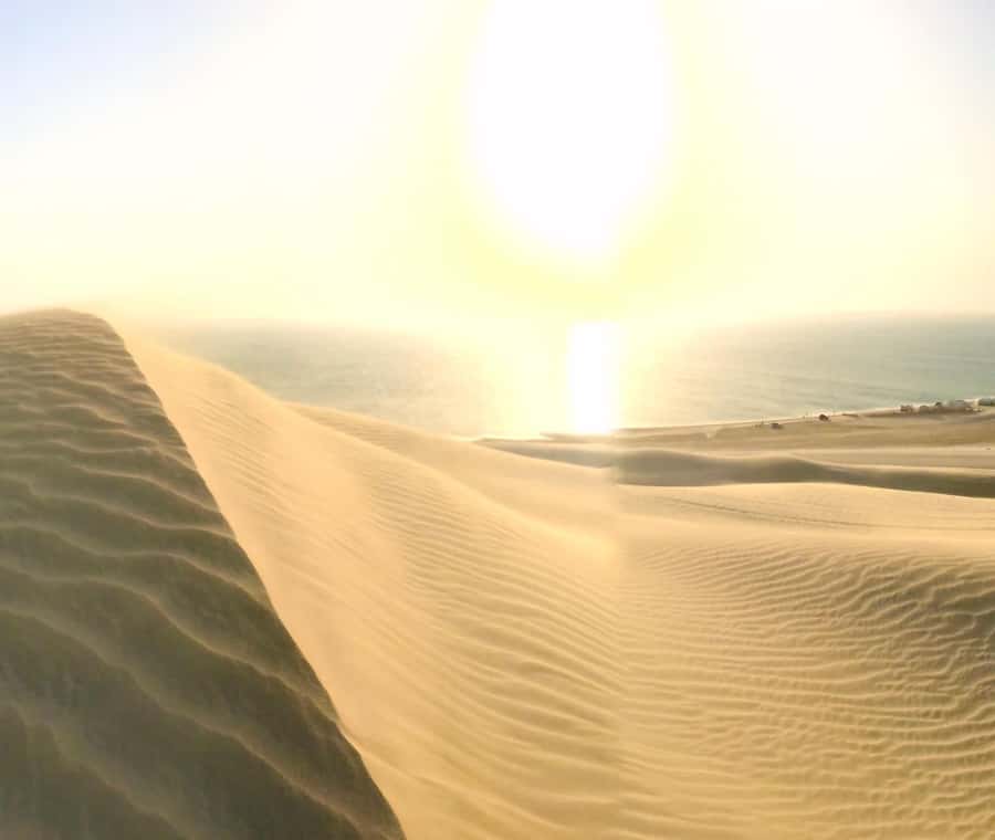 Relax Desert Safari, Sand Dune Bashing (Private Safari) - Who This Safari Is Best For