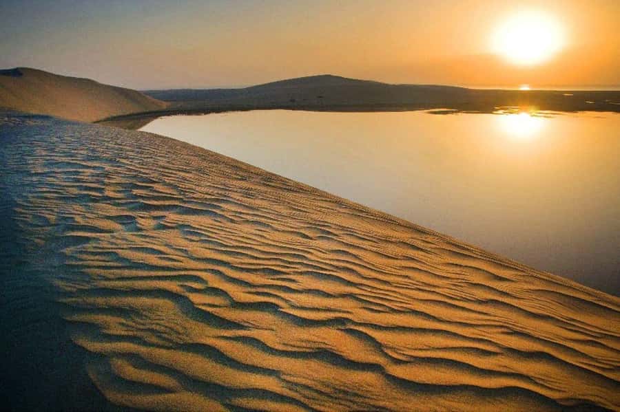 Relax Desert Safari, Sand Dune Bashing (Private Safari) - Private Safari Basics: What the 4 Hours Means for You