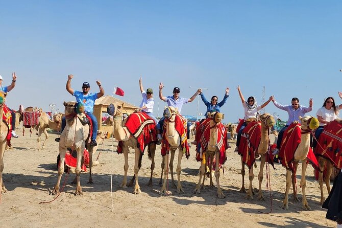 Relax on the Aladdin's carpet & inhale the magical sunset - The afternoon timeline: pickup, camel ride, and dune bashing