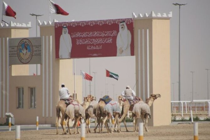 Richard Serra Sculpture Mushroom Rock Formation Tour - Al Shahaniya Racetrack: Camel Racing, Tradition, and Modern Tech