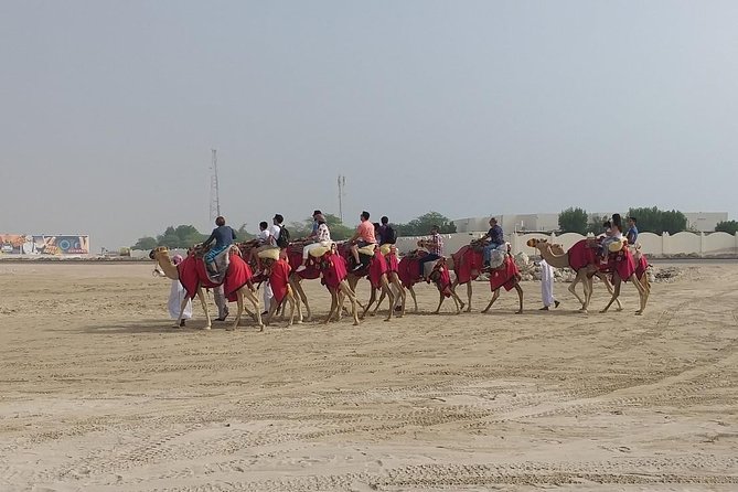 Sharing or Private Safari, Sand Boarding, Camel Ride, inland Sea Quick swim - The Swim Reality Check: No Lifeguard, No Changing Rooms, Bring What You Need