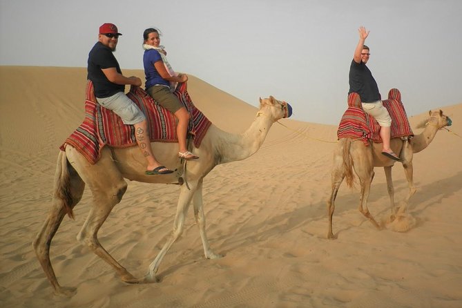 Sharing or Private Safari, Sand Boarding, Camel Ride, inland Sea Quick swim - Getting From Doha to the Inland Sea: The Mesaieed Route and the Shift in Scenery