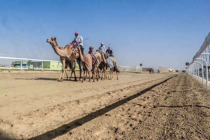 Sheikh Faisal, Camel Race Track visit - Racing and Equestrian Club: royal stables and horses in training