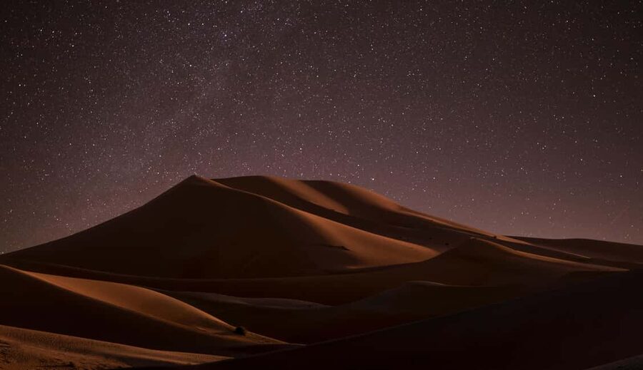 Star Studded Night Desert Safari Doha Qatar - Key Highlights You’ll Actually Feel