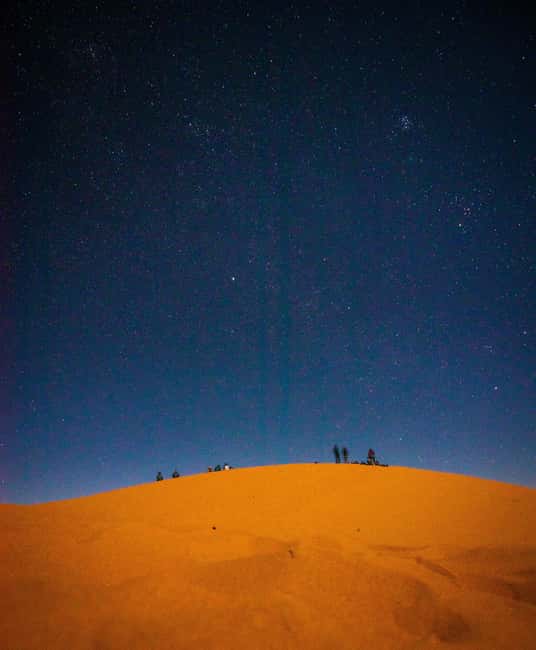 Star Studded Night Desert Safari Doha Qatar - Who This Desert Safari Suits Best