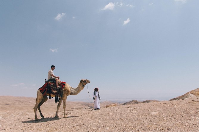 Sunrise Desert Safari in Qatar: An Unforgettable Adventure - Should You Book This Falcon Tours Sunrise Desert Safari?