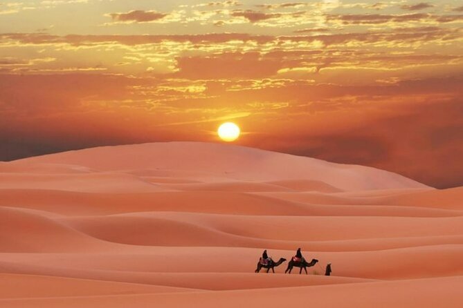 Sunrise or Sunset , Desert Safari Tour in Heart of Qatar - Quick Hits Before You Go