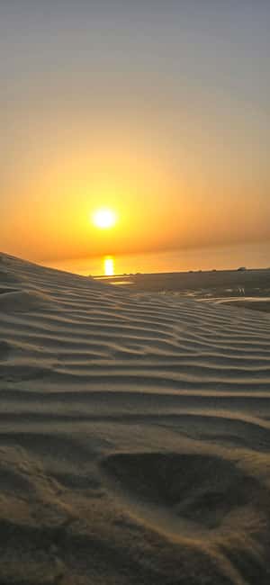 Sunrise or Sunset desert Safari with Sandboarding in Qatar - Key Highlights You’ll Care About