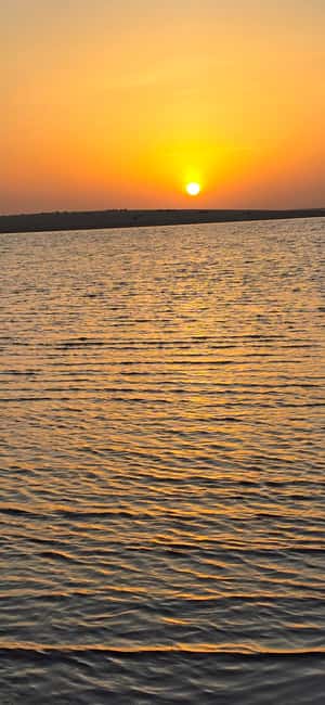 Sunrise or Sunset desert Safari with Sandboarding in Qatar - Dune Bashing: Thrills With Seat Belts and Real Driver Control