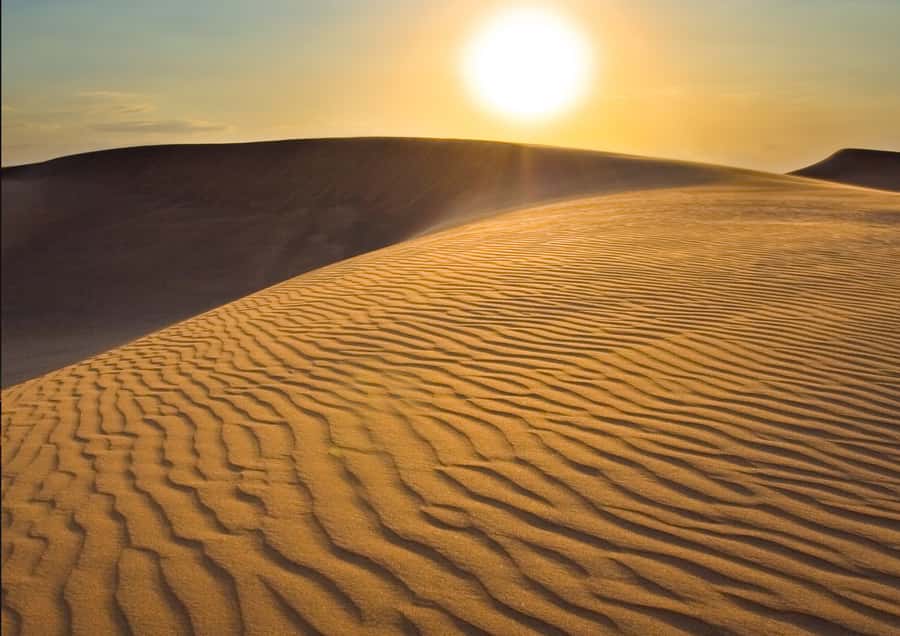 Sunrise : Privare Dune Bashing, Camel Ride & Sandboarding - Who This Tour Suits Best (And Who Should Skip It)