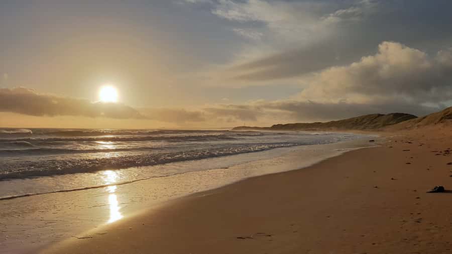 Sunrise : Privare Dune Bashing, Camel Ride & Sandboarding - The Main Event: 4x4 Dune Bashing Like a Controlled Roller Coaster
