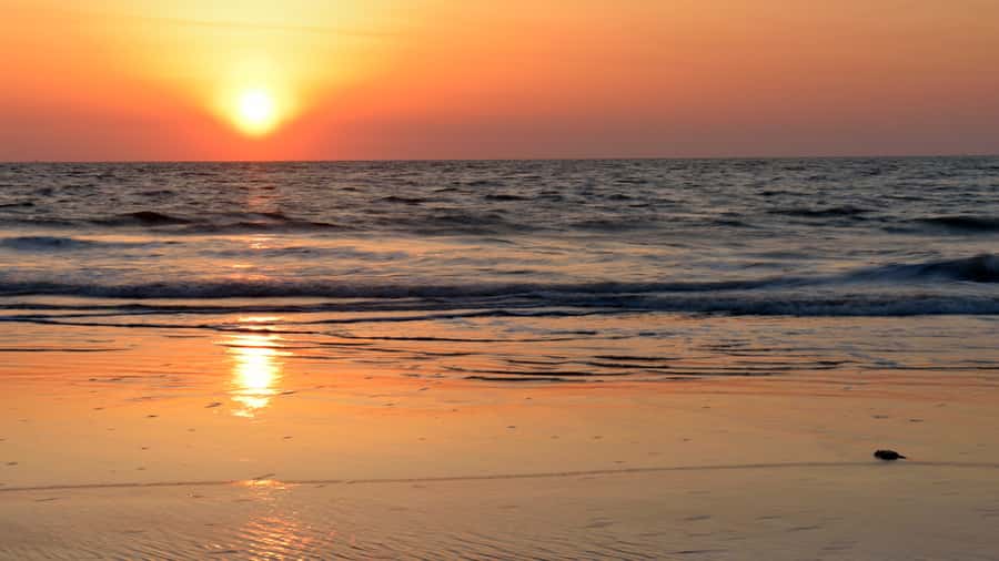 Sunrise : Privare Dune Bashing, Camel Ride & Sandboarding - Sandboarding at First Light: Fun, Dust, and a Little Humility