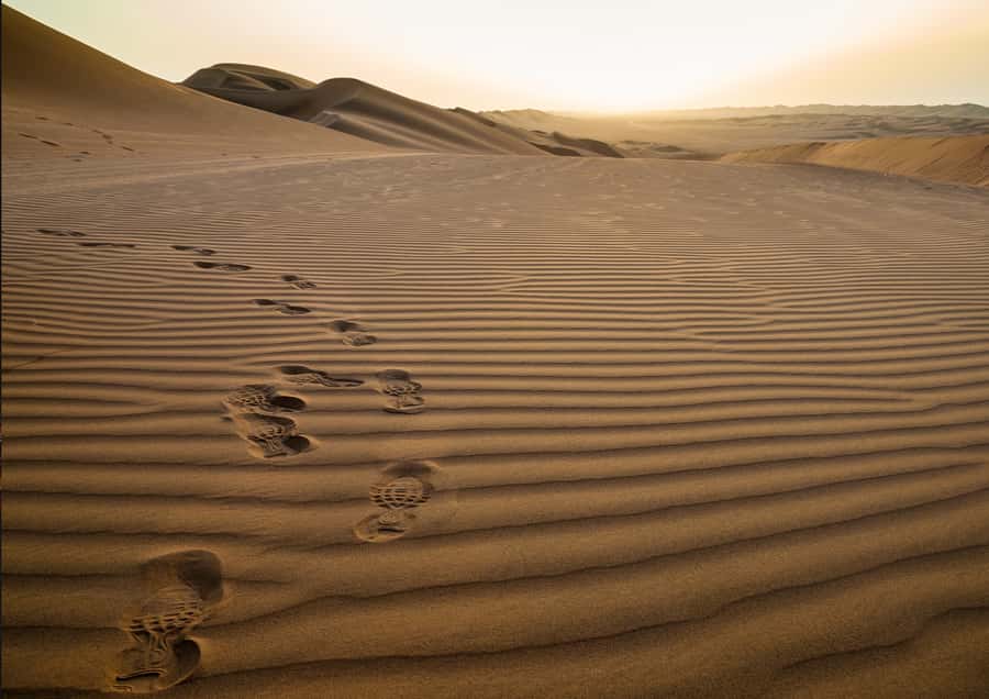 Sunrise : Privare Dune Bashing, Camel Ride & Sandboarding - Optional Camel Ride at Sealine Beach Resort: The Gentle Counterpoint