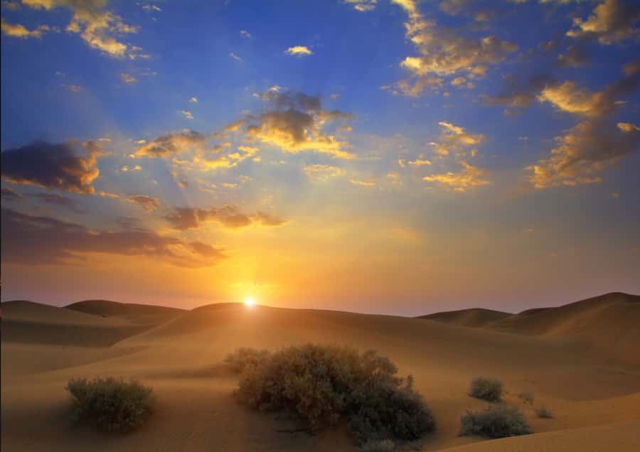 Sunrise : Privare Dune Bashing, Camel Ride & Sandboarding - Getting Out of Doha in Comfort: Land Cruiser Pickup That Keeps You Fresh