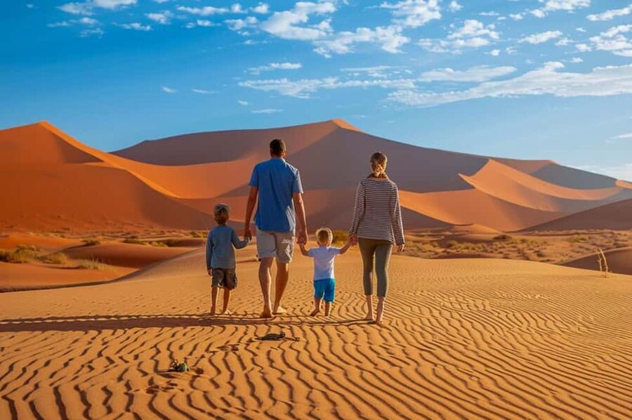 Sunset Desert Safari with Dune Bashing & Inland Sea Views - Who this safari suits best, and who should skip it
